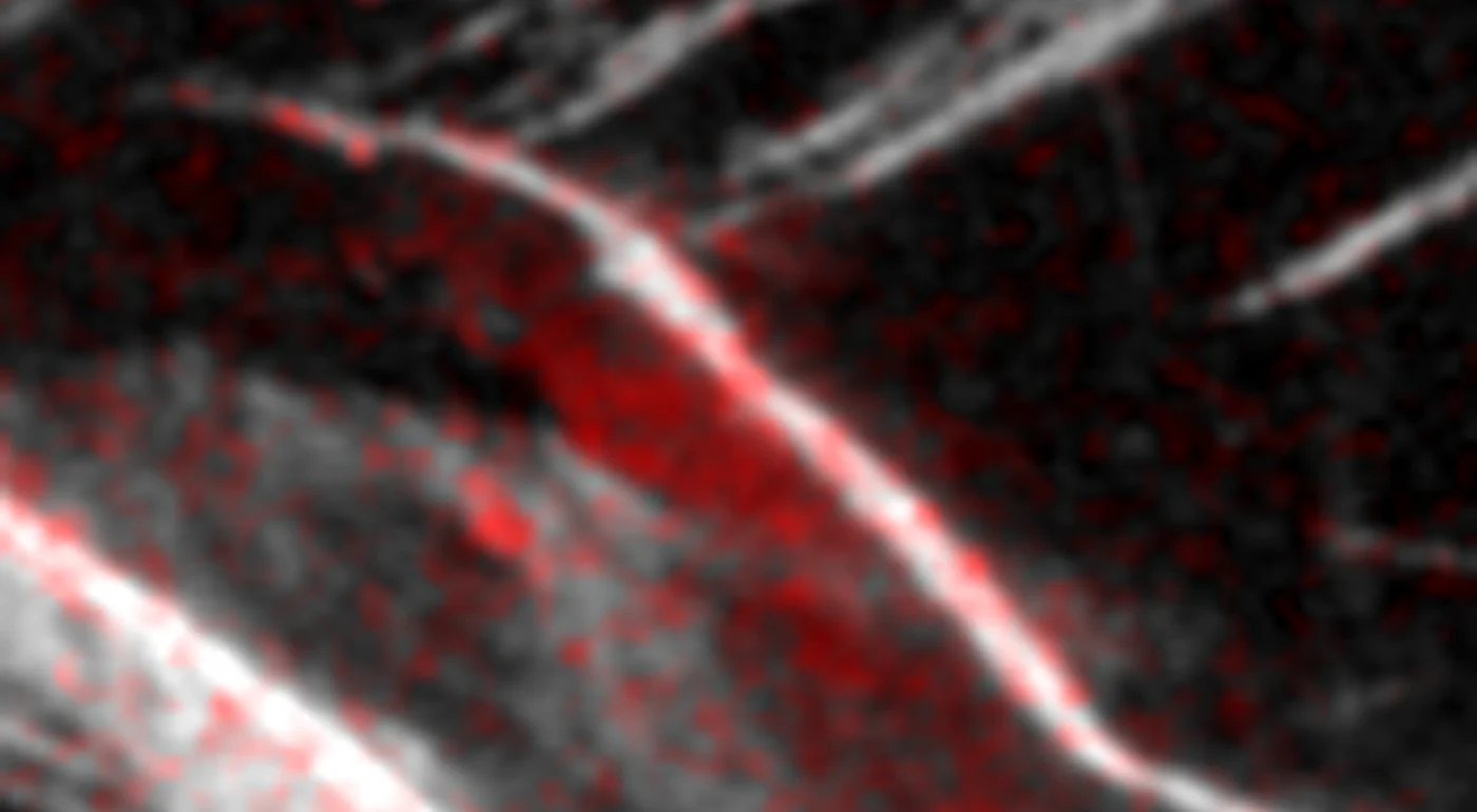 Sentinel-1 radar change detection showing the detachment zone of the 2026 Bhote Koshi ice-rock avalanche