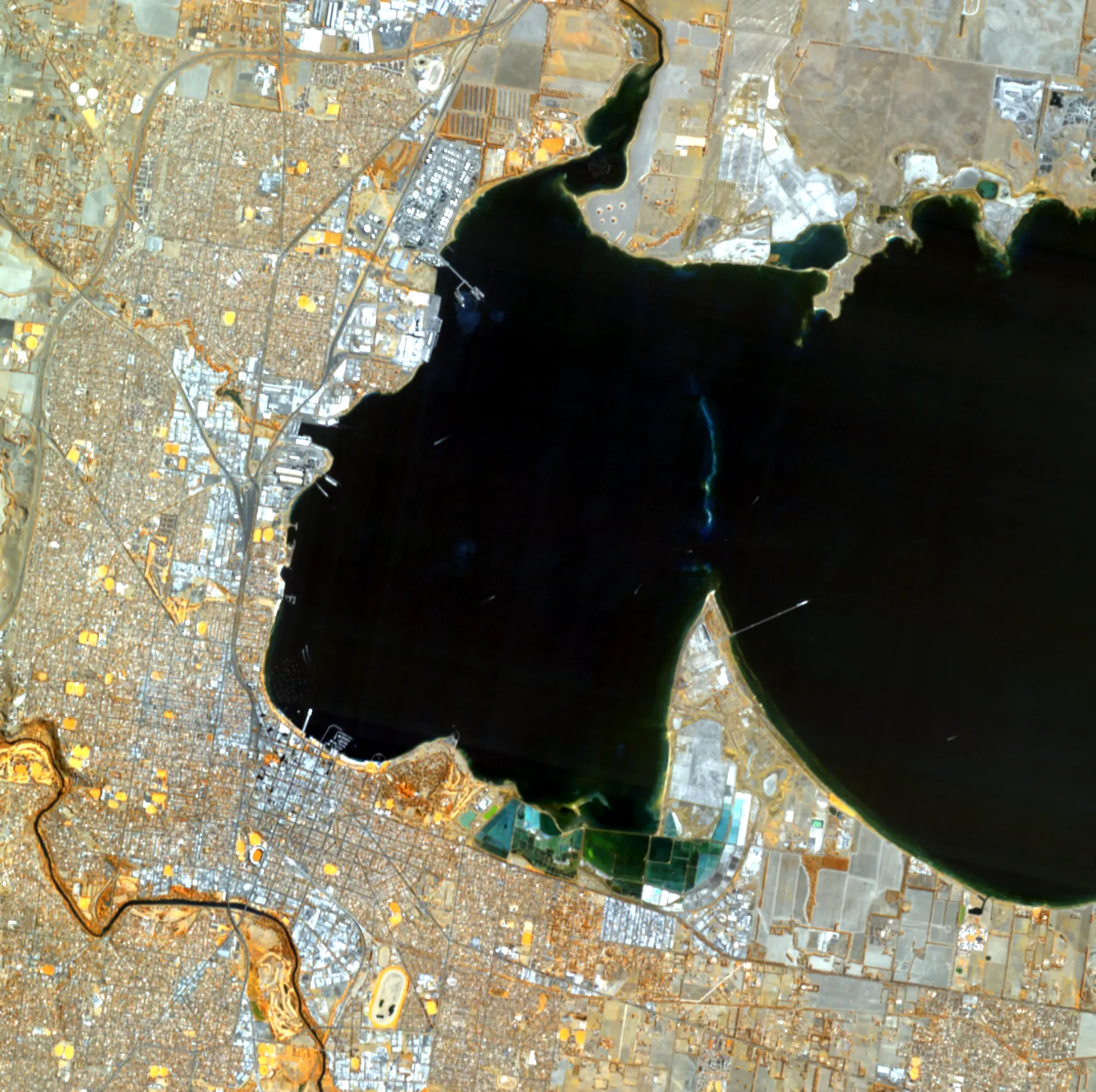 The same Geelong scene as a red-edge composite from the 749, 712 and 669 nm bands, with irrigated turf bright and Corio Bay black