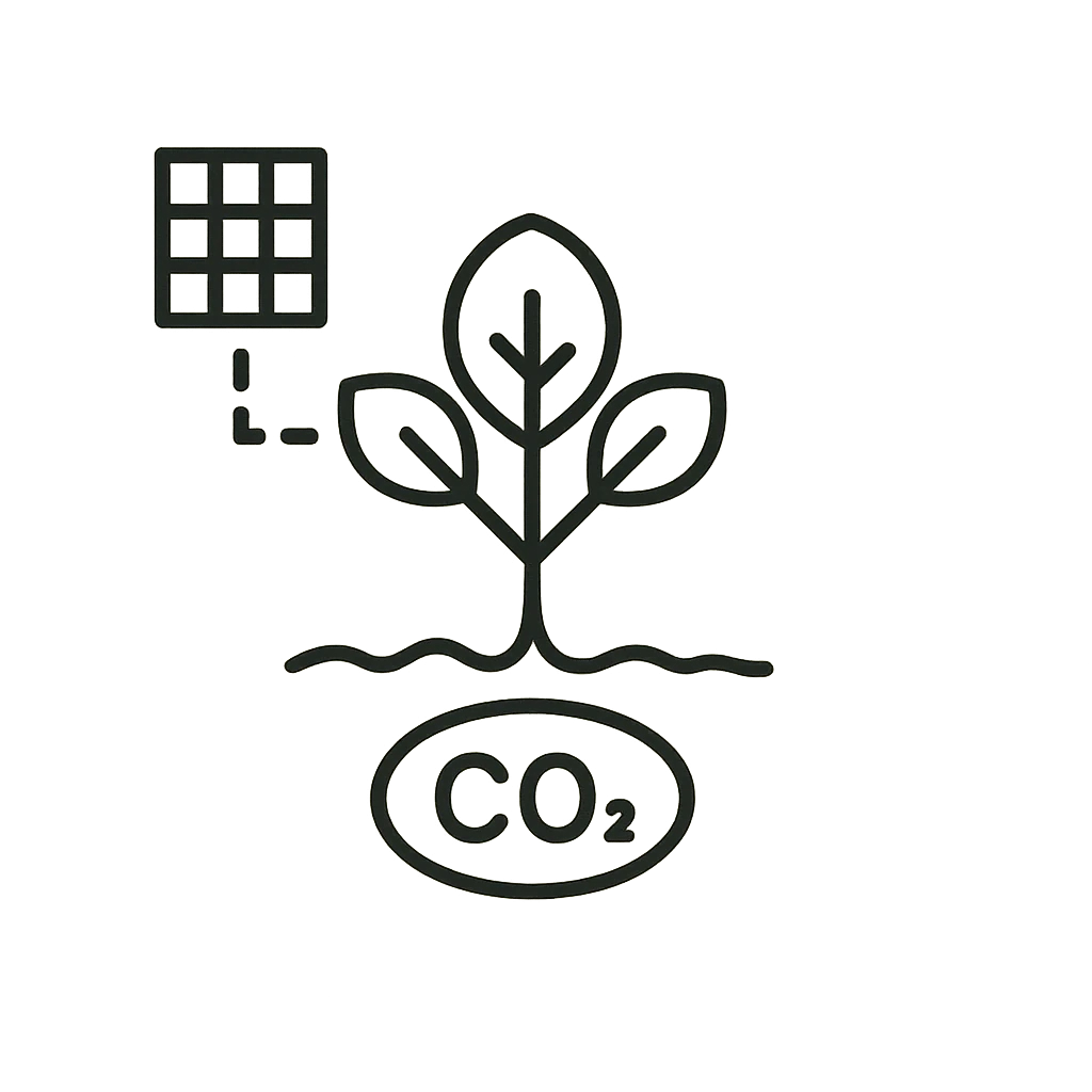 Line drawing of a seedling above ground with a CO2 label below the roots and a pixel grid to one side